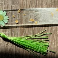 Segnalibro verde