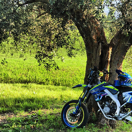 TM smr 2014 5500(trattabili)