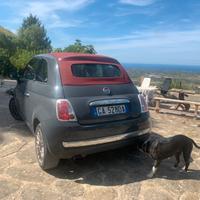 Fiat 500 cabrio