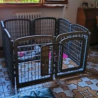 Recinto per cuccioli