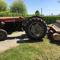 Trattore Massey ferguson 65