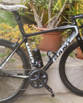 Giant tcr carbon 