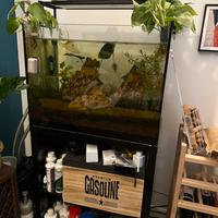 Vasca acquario piu mobile