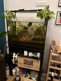 Vasca acquario piu mobile