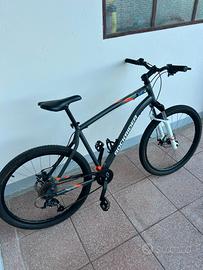 Bici mountain bike