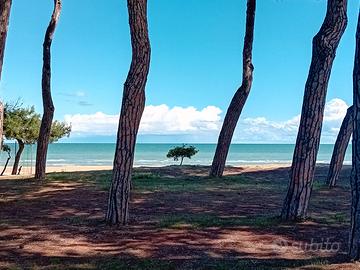 Estate Mare Casa nuova per Famiglia da 4 Aria con