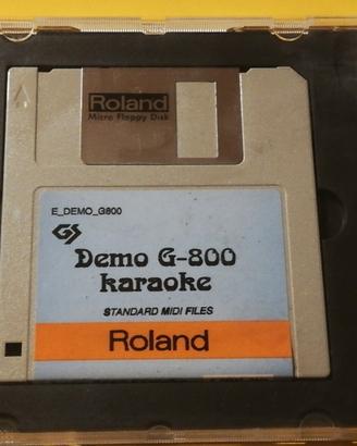 Lotto Floppy Disk 12+1 ROLAND SMF Midi File -