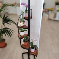 scala a chiocciola porta piante