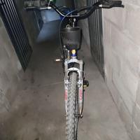 "montain bike 26 usata poco"
