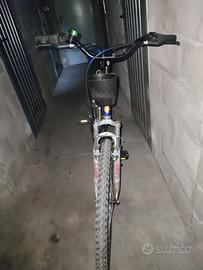 "montain bike 26 usata poco"