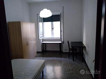 Stanze singole in Viale Ippocrate - Sapienza