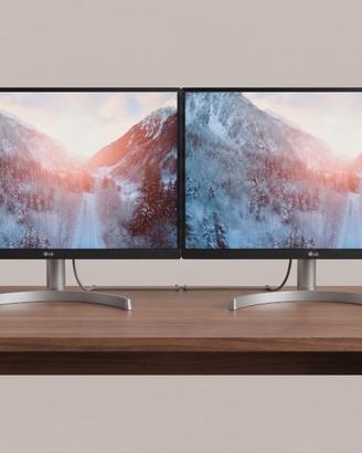 2 Monitor LG 24" Full HD (Anche singoli) 