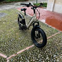 Bici elettrica Lombardo