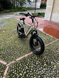 Bici elettrica Lombardo