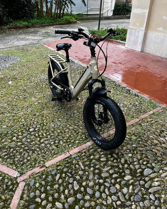 Bici elettrica Lombardo
