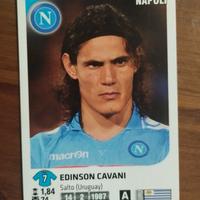 EDINSON CAVANI FIGURINA PANINI 2011-12 - MINT