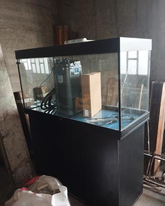 acquario 