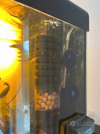 Acquario: FILTRO SPUGNA PRE-CICLATO