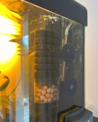 Acquario: FILTRO SPUGNA PRE-CICLATO