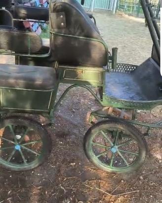 carrozza per doppio pony