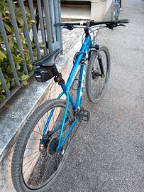 Mountain Bike Trek Marlin 6 muscolare 