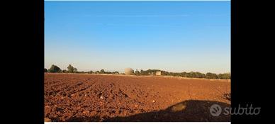 Terreno agricolo seminativo 4 ettari