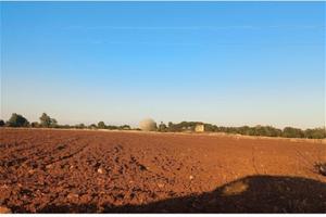 Terreno agricolo seminativo 4 ettari