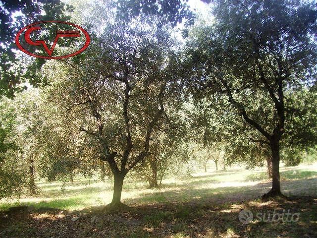 Terreno di 44 m² a Bucine - Vista 2