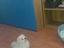 Immagine 2