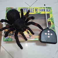 TARANTOLA ragno RADIOCOMANDATA rc mygale BUKI kit 