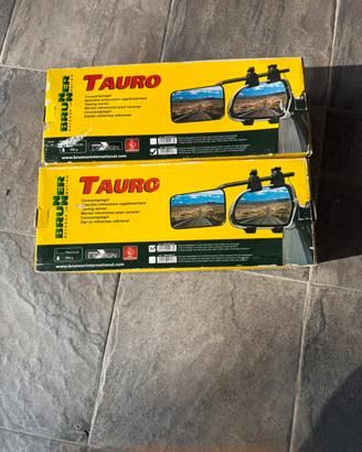 Spechietti retrovisori supplementari