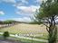 Immagine 23