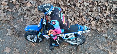 Moto losi promoto 1/4