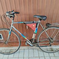 bici Bottecchia