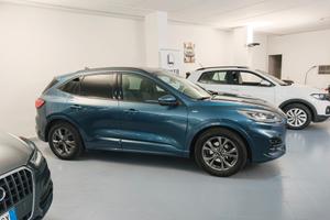 Ford Kuga 1.5 EcoBlue 120 CV 2WD ST-Line