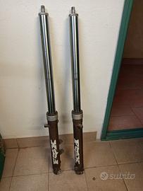 FORCELLE ANTERIORI MOTO