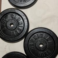 4 dischi gisa carnielli da 10 kg