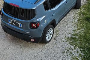 jeep renegade 1.6 etorq 
