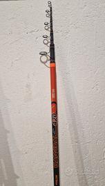 Canna da pesca storione