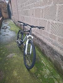 Bicicletta Bianchi MTB