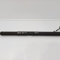 Pistoncini ammortizzatore portellone poster dx sx