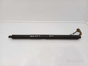 Pistoncini ammortizzatore portellone poster dx sx