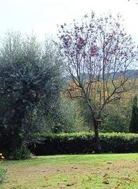 Appartamento a Carmignano, 3 locali