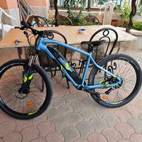 bicicletta elettrica est 100