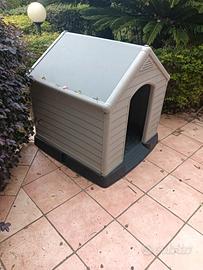 cuccia per cani