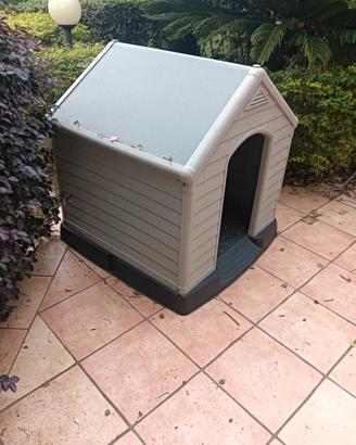 cuccia per cani