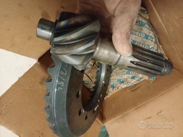 Pigno e corona per Iveco 79.14