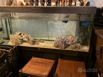 Acquario juwel 450 litri