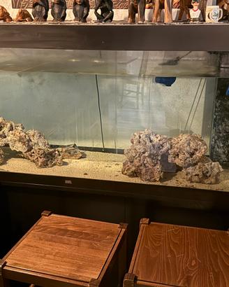 Acquario juwel 450 litri