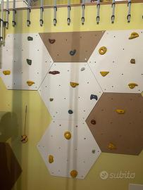 Parete arrampicata